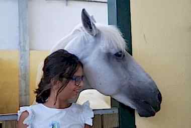 Férias Equestres